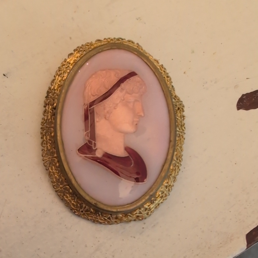 Vintage Cameo Brooch with Gold Trim